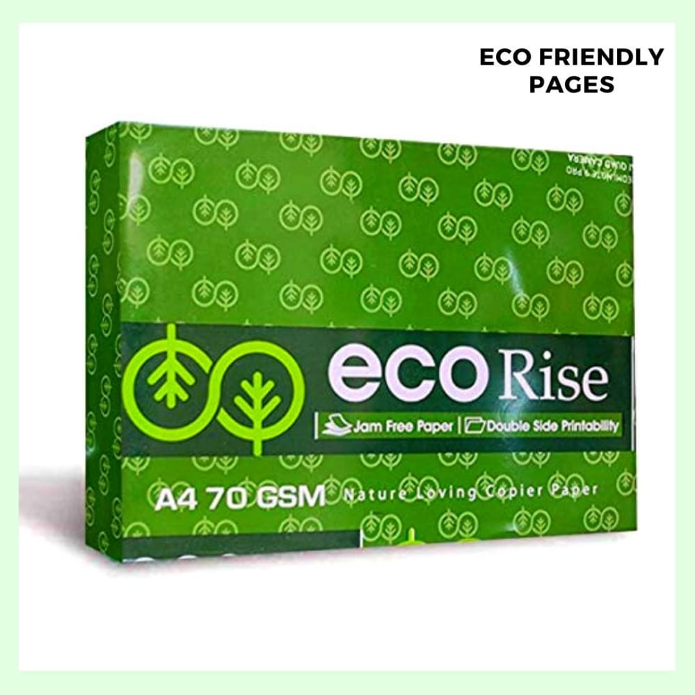 ECO RISE PAPER